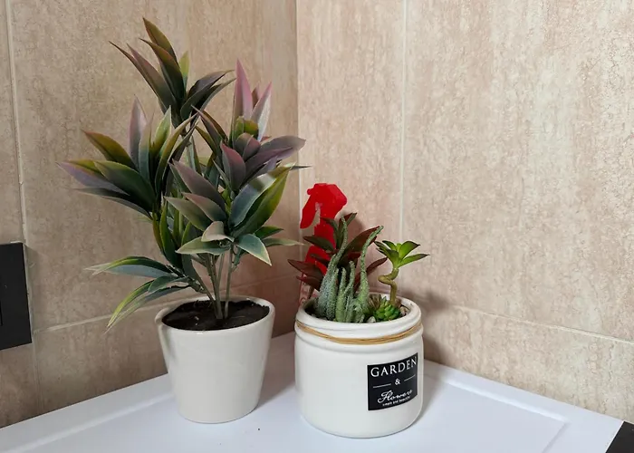 Arcas, Comodo Cerca Del Centro Apartman *